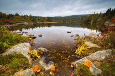 Autumn Stillness