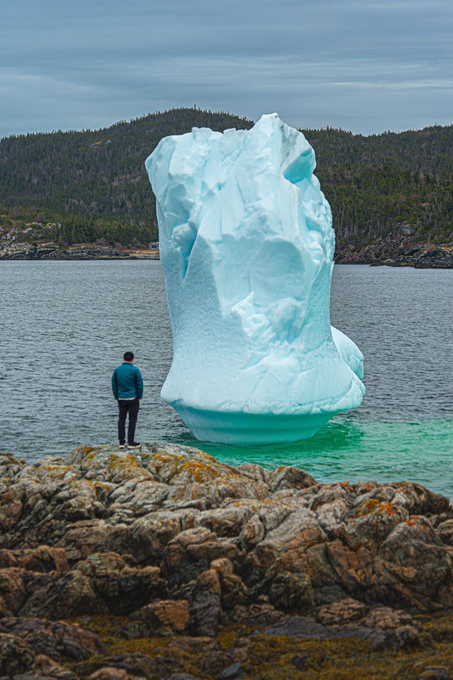 Face to face with a frozen giant
