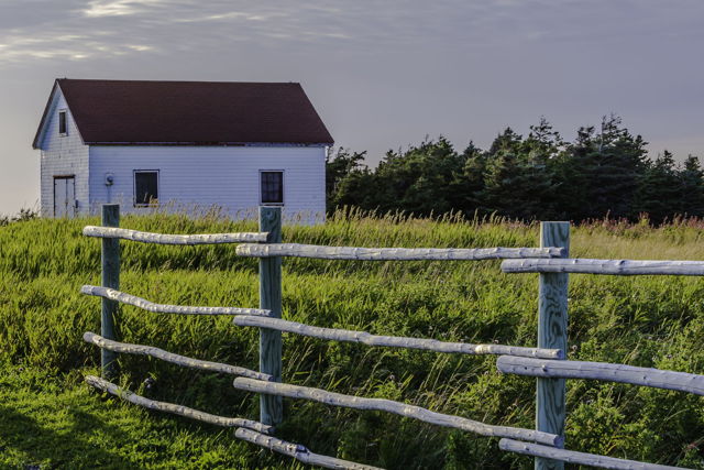 Fields Of Green