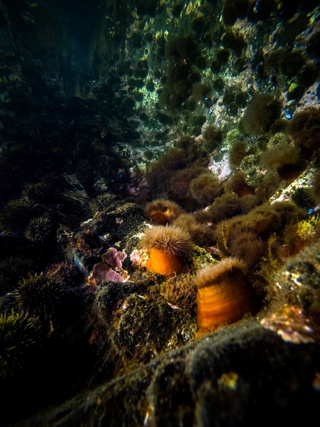 Beneath The Bay, Twillingate