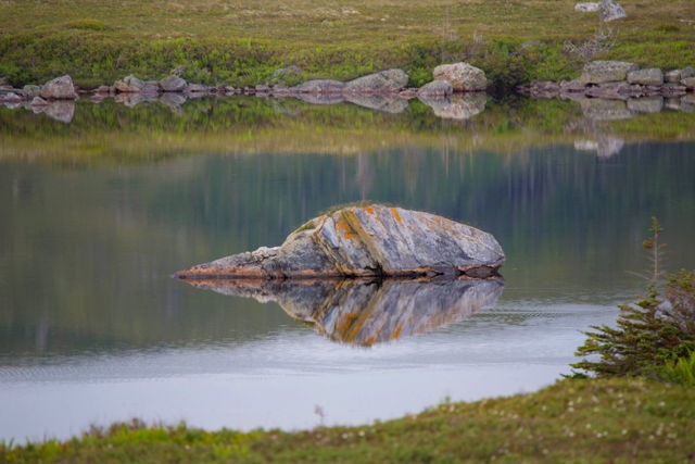 Reflection , rock in a pond