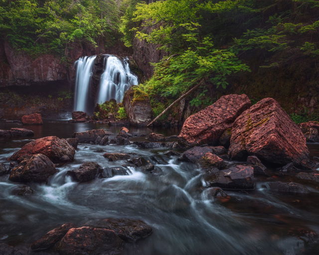 Hidden Falls in the Forest