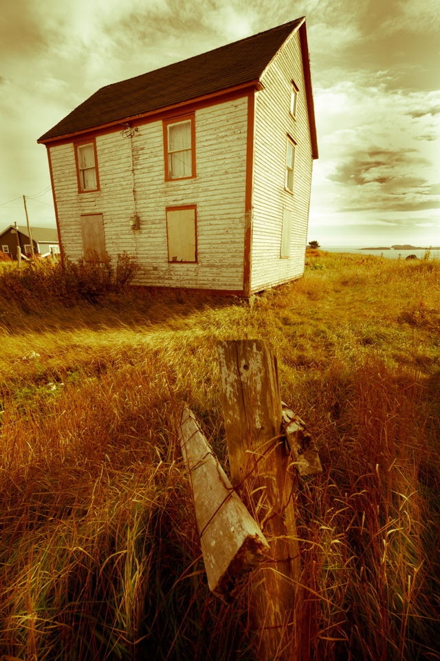 The Vintage Look II