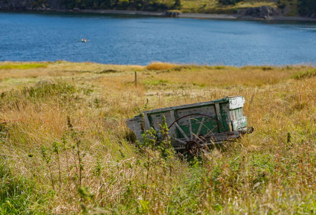 A wagon in a field near Trinity, NL