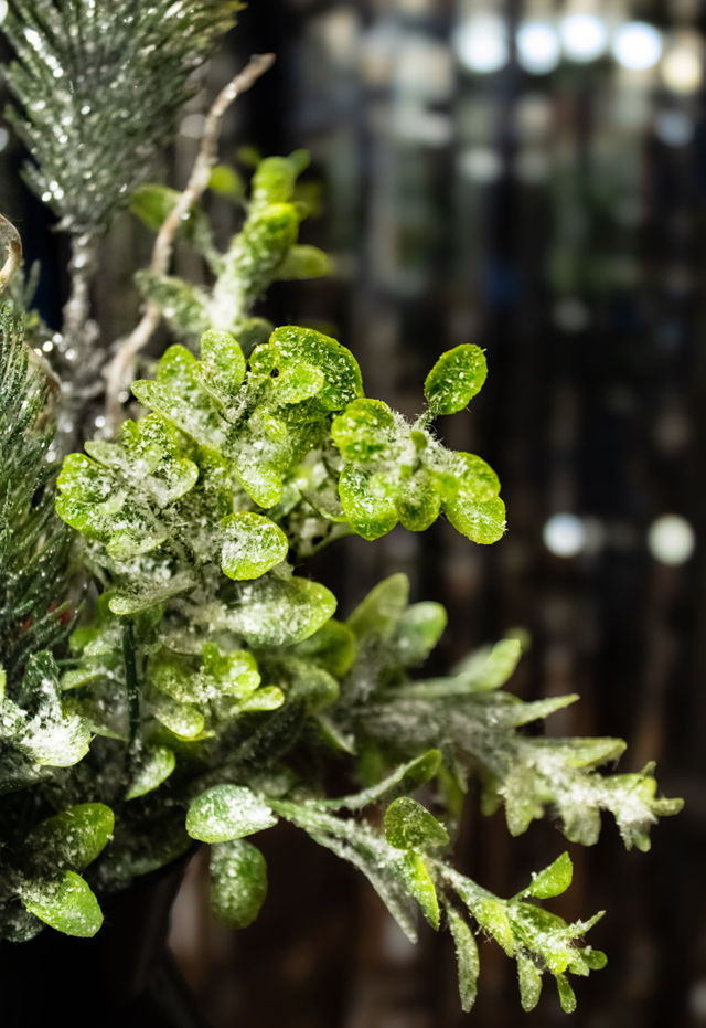 Shades of Green
