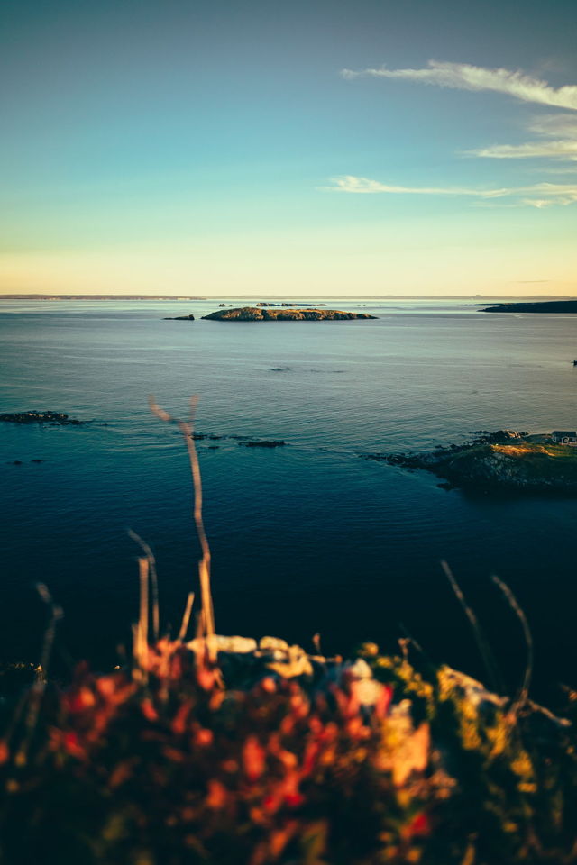 Carbonear Island in Sunset