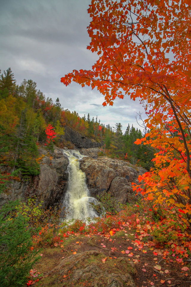 Leech Brook - Central, NL