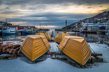 Bottoms Up - Petty Harbour