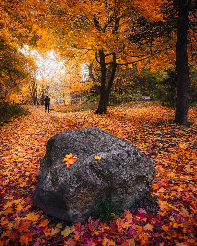 A Walk at Bowring Park