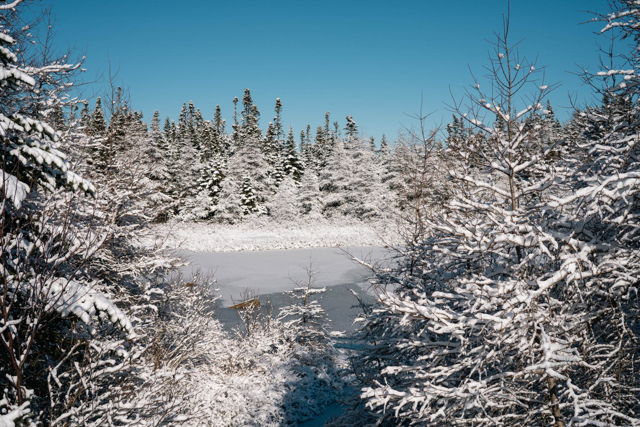 Snowy Day
