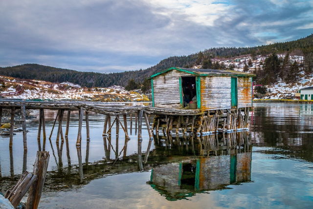 Still Standing 2 - Brigus South