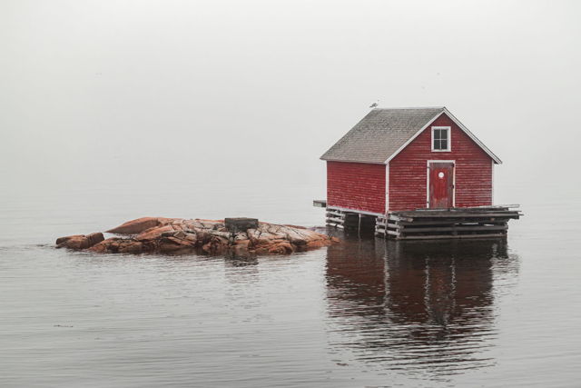 Fog Again