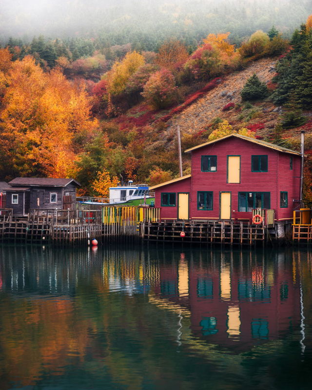Foggy Day at Quidi Vidi