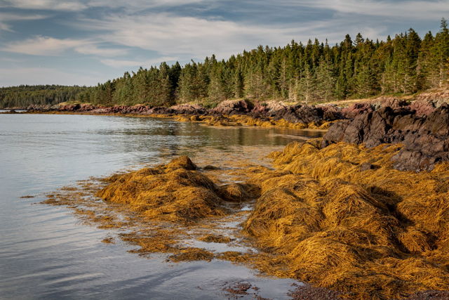 Passamaquoddy Bay, NB