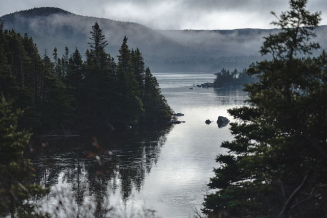 Last of the Morning Fog
