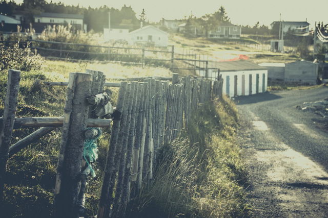 Fence and Field