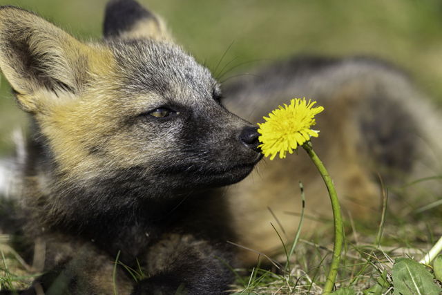 Smell The Flowers