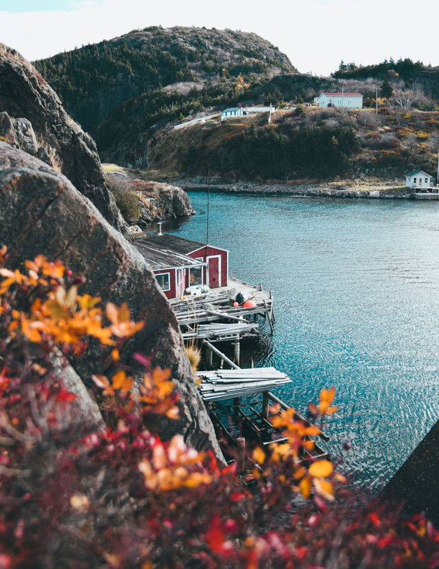 Autumn Glow in Quidi Vidi