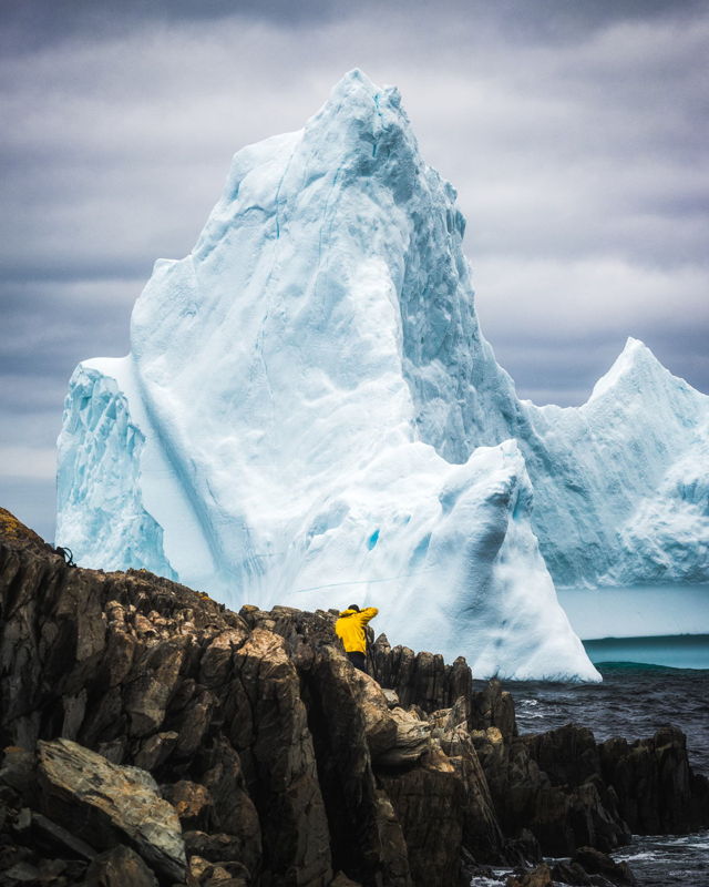 Colossal Iceberg in Grates Cove - 1