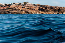 Joe Batt's Point and The Great Auk