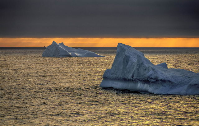 The Morning Bergs