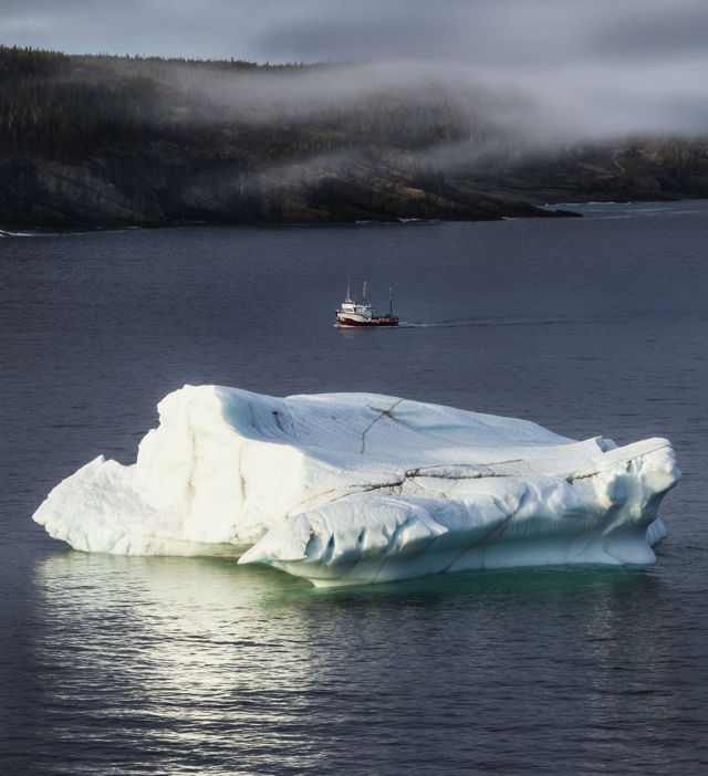 Iceberg in Bay Bulls