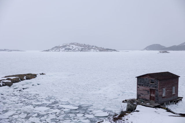 Ice Floes