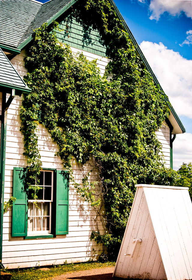 Gable and Vines