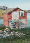 THE SHED
