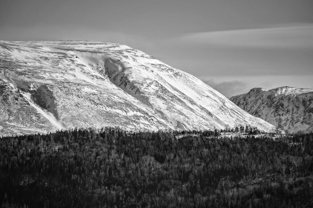 The Face of Gros Morne