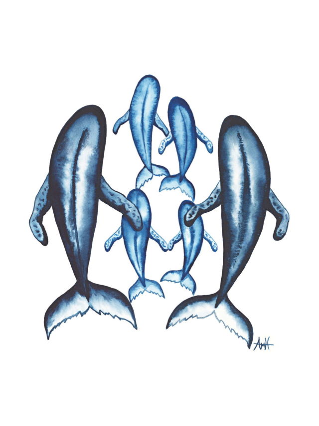 Pod of Six