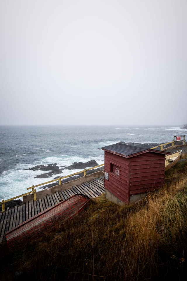 Foggy Fall Moments - Pouch Cove