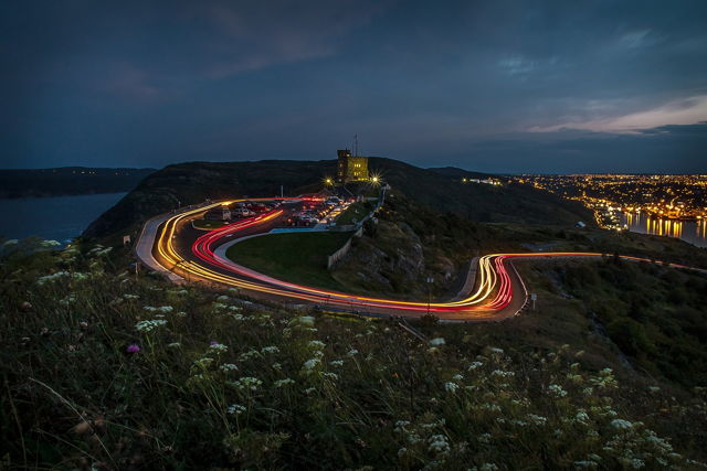 Light Trails and Flowers