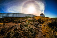 Cape Spear Fence