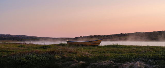 Misty Dory