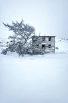 Abandoned Biscuit Box II, Brown's Cove, NL