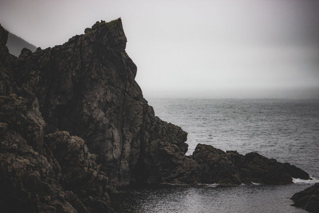 Bottle Cove 2