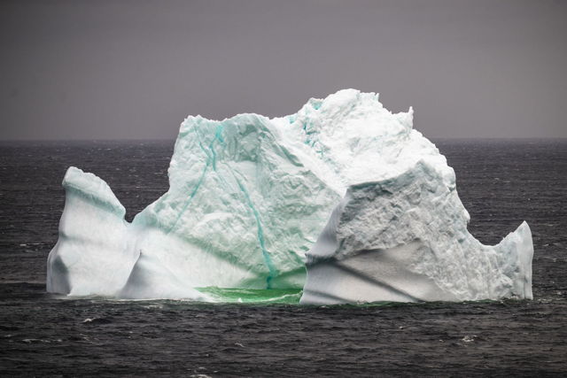 Emerald Veins through the Ancient Ice