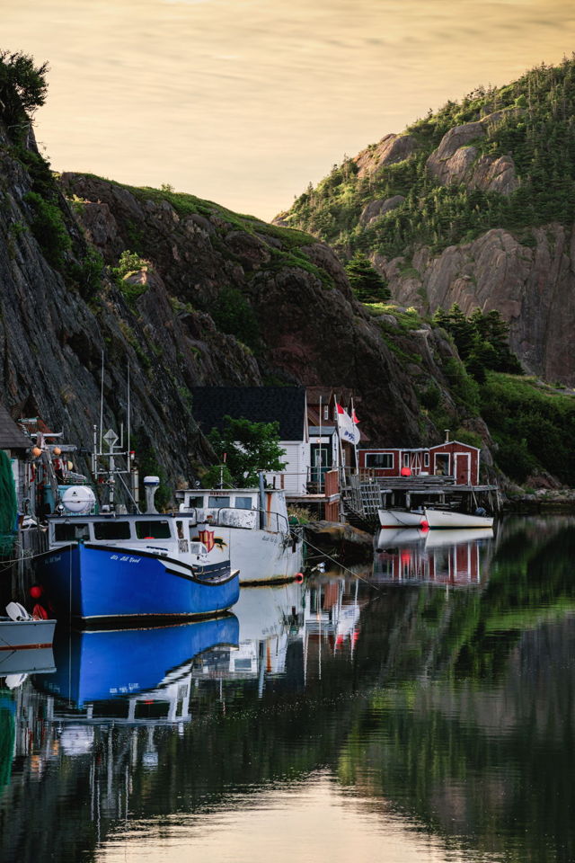 Quidi Vidi Reflections