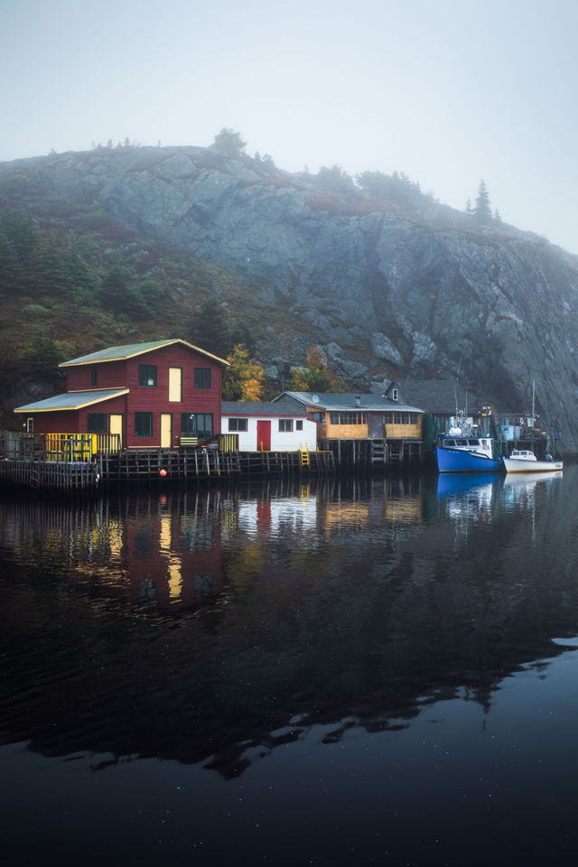 A Foggy Fall