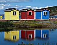 Coloured Sheds in Cavendish