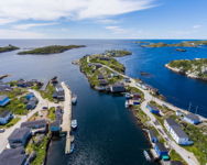 Rose Blanche in the Summer