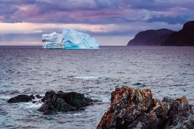 Iceberg in Conception Bay