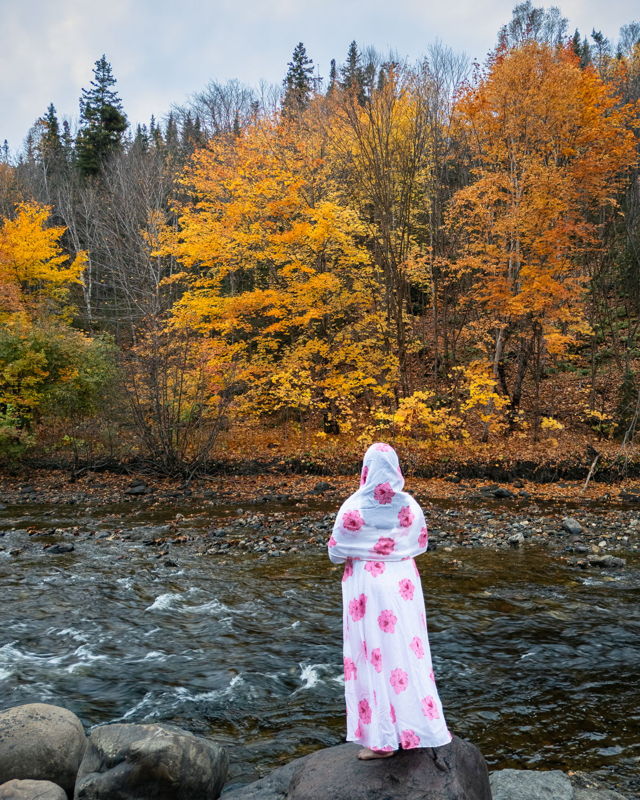Autumn Serenity A Moment in Nature