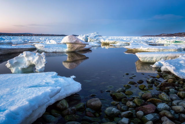 Coley's Point Sea Ice