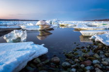 Coley's Point Sea Ice