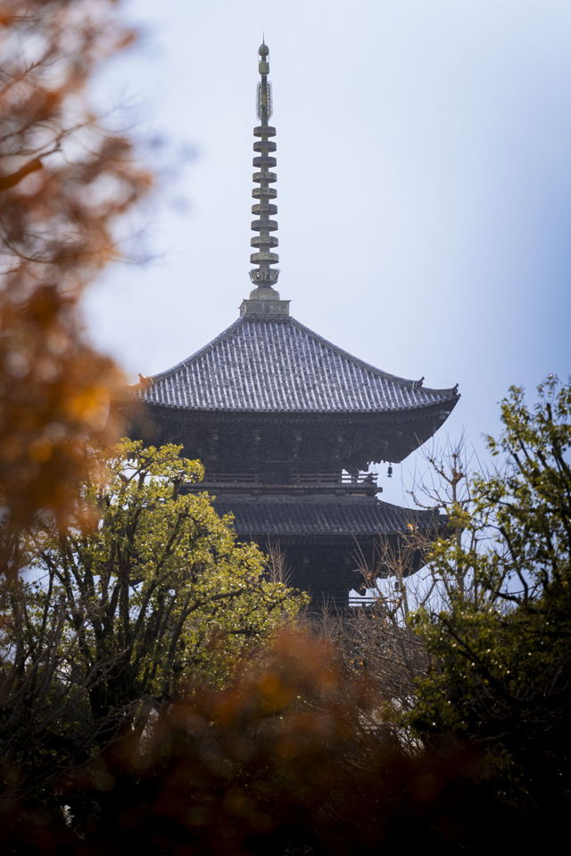 Hidden Pagoda