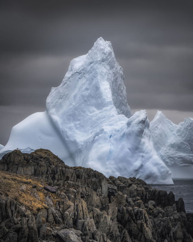 Iceberg Giant