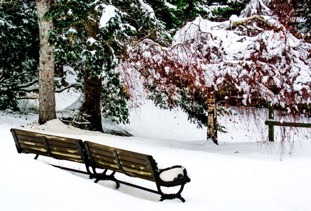 A Wintery Day