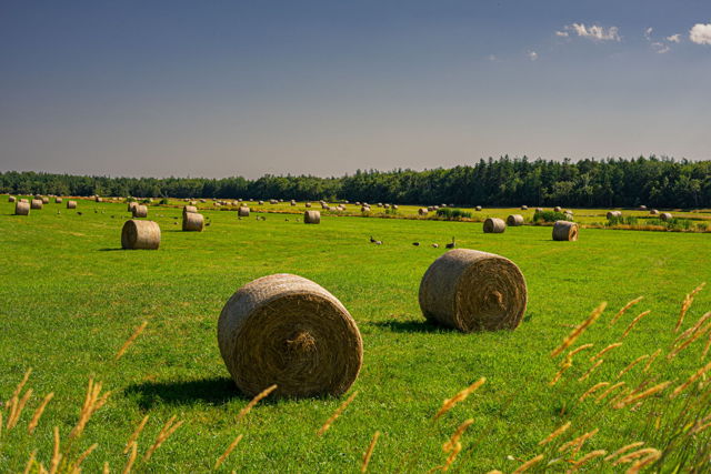 Rolling Away Summer